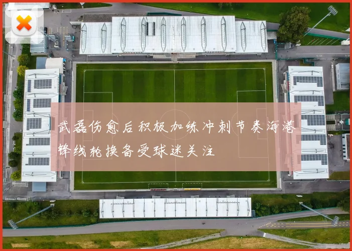 武磊伤愈后积极加练冲刺节奏海港锋线轮换备受球迷关注